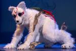 Yukicon14_60.jpg