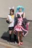 DSC_9971.jpg