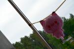 DSC_7196.JPG