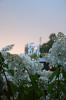 DSC_6422.JPG
