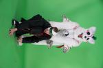 Tracon_ChromaKey_Lauantai_54.jpg
