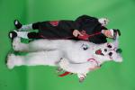 Tracon_ChromaKey_Lauantai_55.jpg