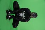 Tracon_ChromaKey_Sunnuntai_119.jpg