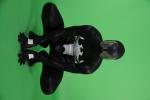 Tracon_ChromaKey_Sunnuntai_120.jpg
