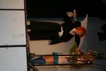 IMG_5955.JPG