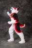 desucon2013_sunnuntai-60.jpg