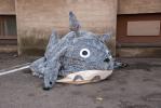 kuvauspalvelu_su056.jpg