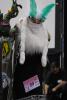 animecon_1535.jpg