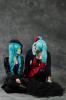 DSC_2547.jpg