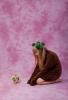 Cosplay_gaala_2011-9844.JPG