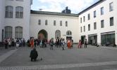 IMG_5135.jpg