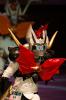 WCS-81.jpg