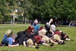 Tracon-9759.jpg
