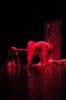 Tracon_2011-4694.jpg